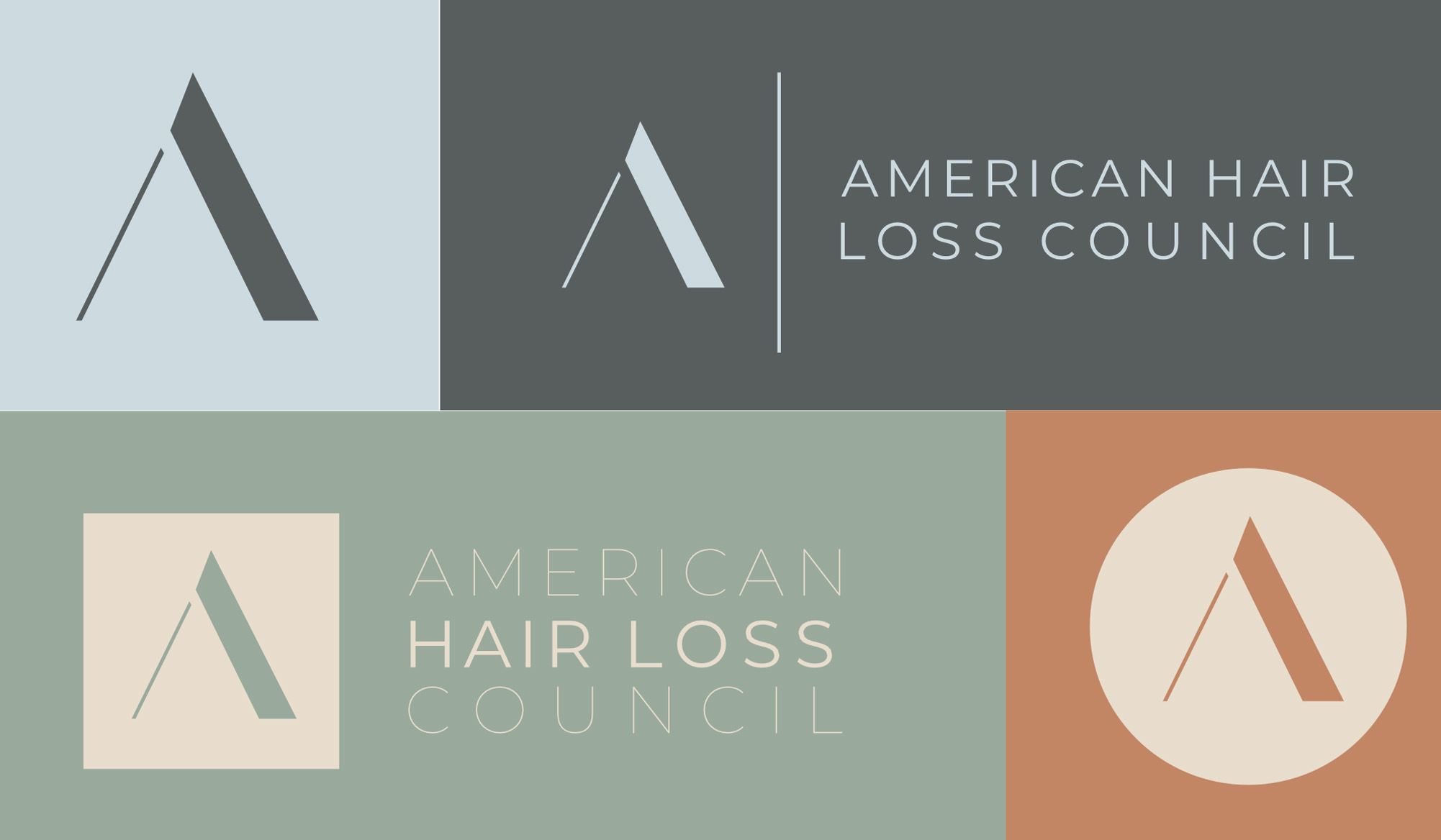 AHLC brand color palette