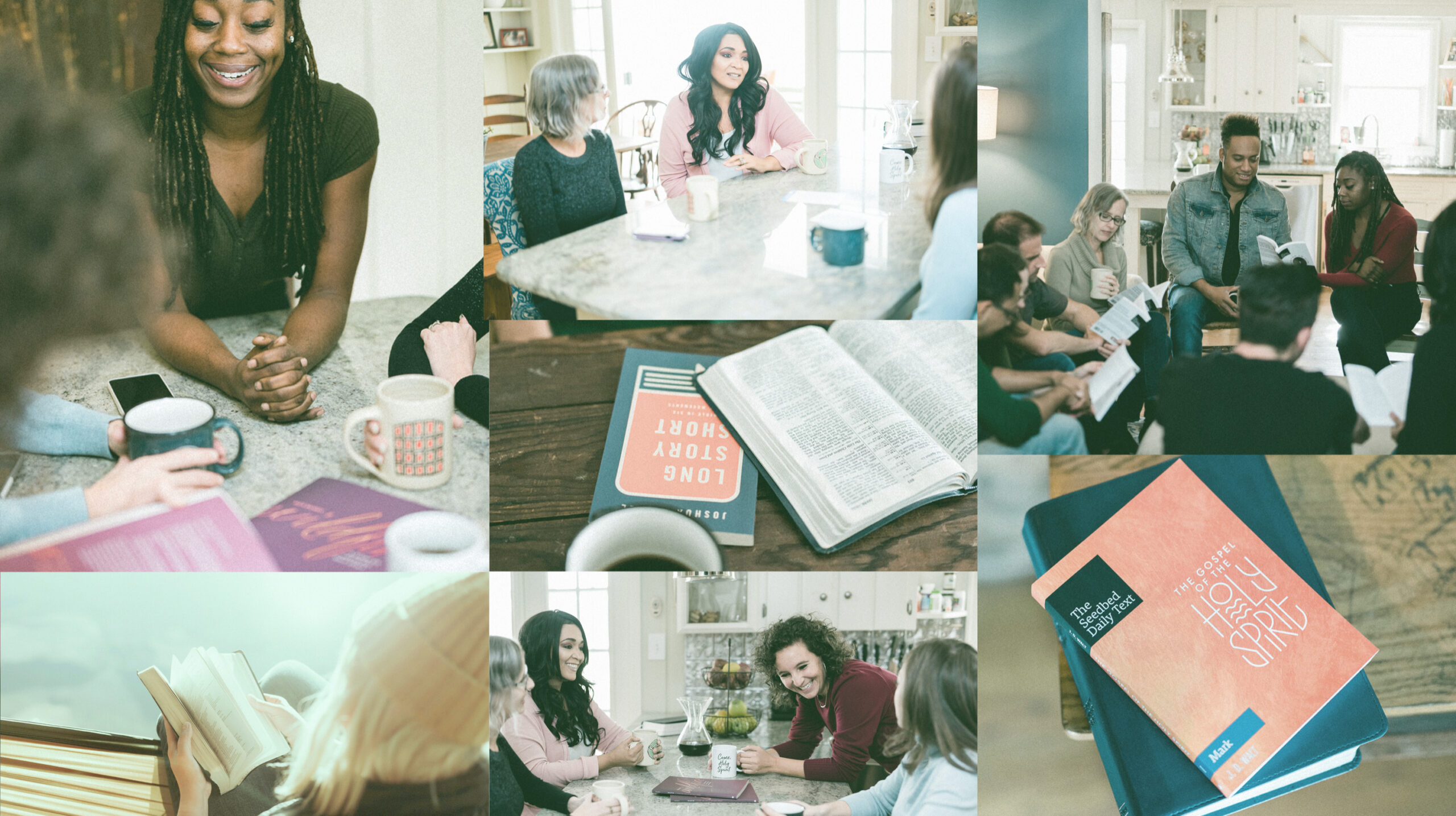 Community research mapping who Seedbed serves, from first encounter to devoted advocate