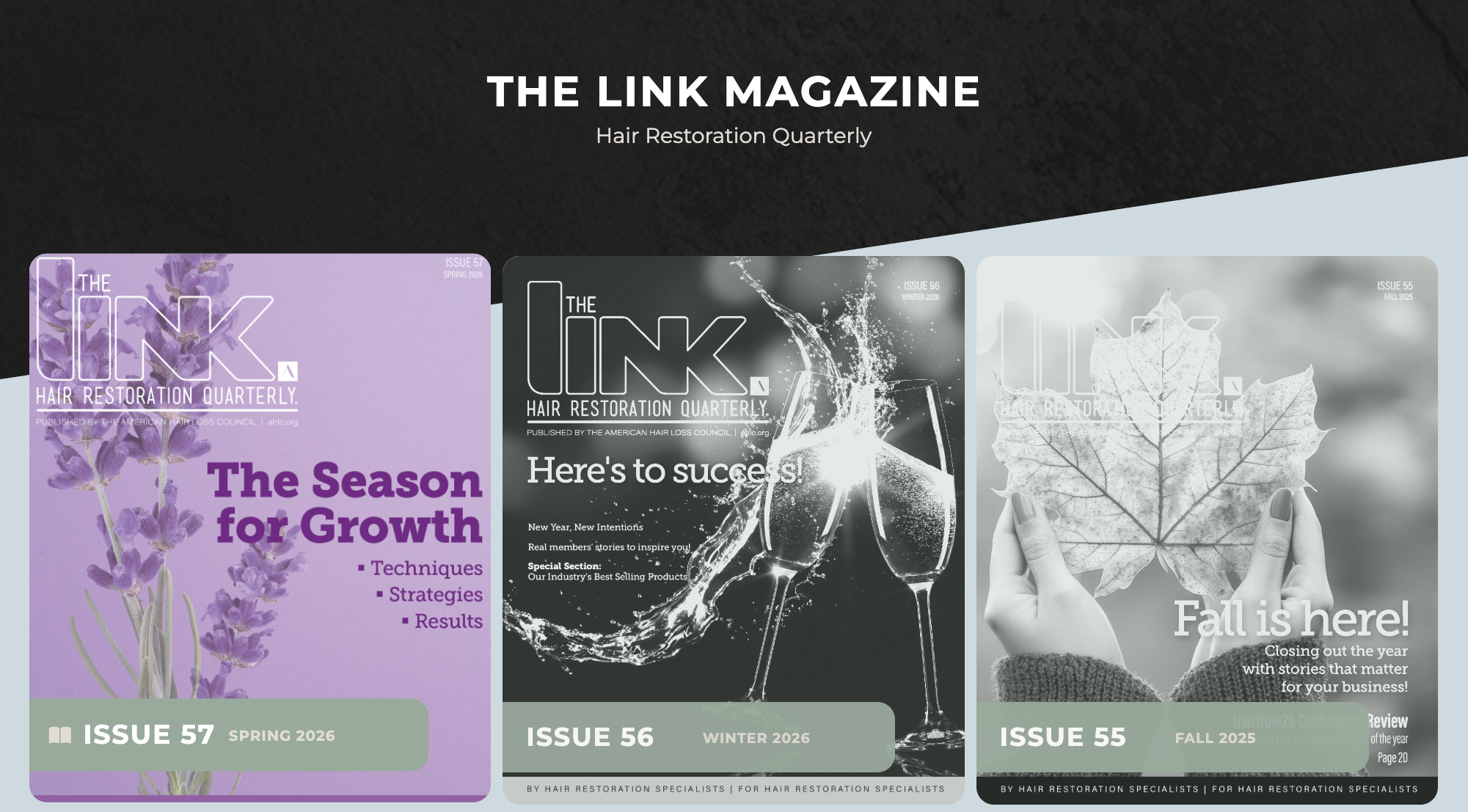 The Link magazine covers in the new AHLC brand